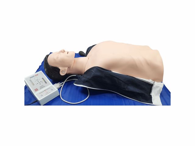 Simulador Meio Torso para Treino RCP com Pulso Carotídeo - TGD-4005-A - Anatomic