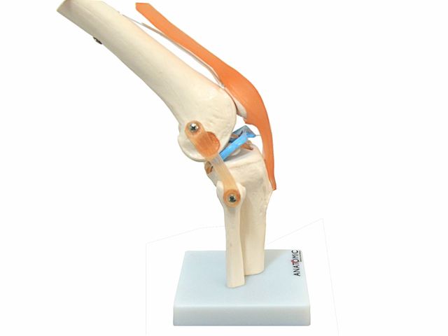 Articulação do Joelho Flexível - TGD-0164-C - Anatomic