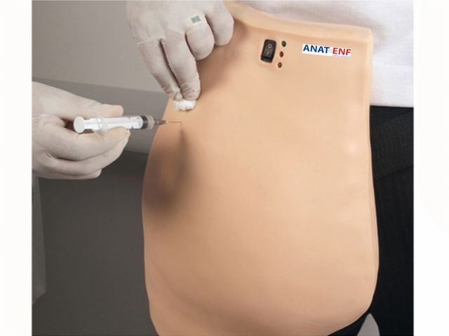 Simulador para Treino de Injeção Intramuscular no Glúteo com Dispositivo de Advertência - TGD-4009-S - Anatomic Simulador para Treino de Injeção Intramuscular no Glúteo com Dispositivo de Advertência - TGD-4009-S - Anatomic