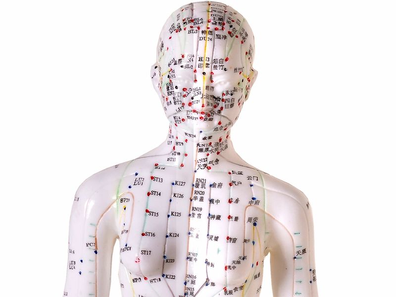 Modelo para Acupuntura Feminino com 50cm - TGD-0402 - Anatomic | ISP Saúde