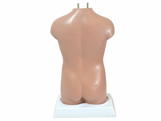 Torso Assexuado de 50 cm em 11 Partes - TGD-0206-C - Anatomic Torso Assexuado de 50 cm em 11 Partes - TGD-0206-C - Anatomic