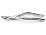 Fórceps Odontológico Adulto - Golgran