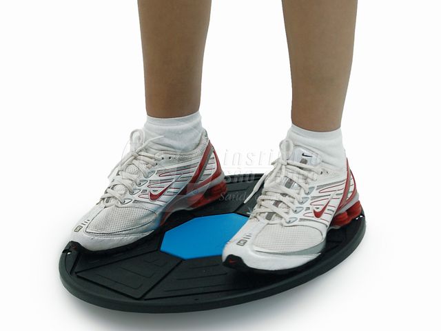 Disco Proprioceptivo Circular - ISP Dyna/ARKTUS Disco Proprioceptivo Circular - ISP Dyna/ARKTUS
