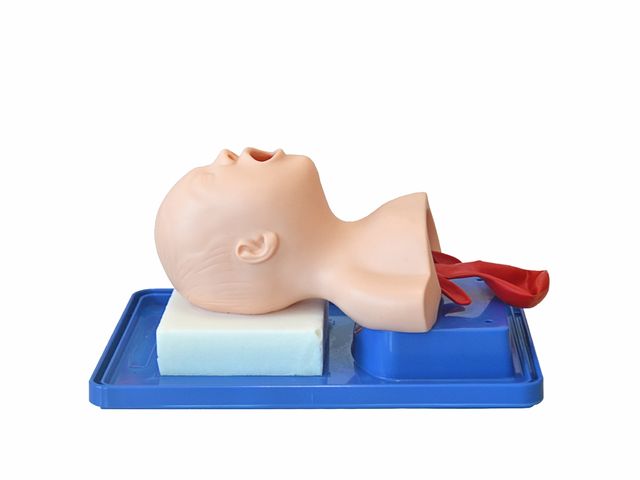 Simulador Bebê para Treino de Intubação Traqueal - TGD-4007-B - Anatomic