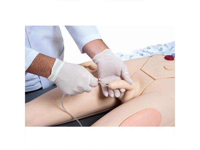 Manequim Bissexual Adulto - TZJ-0502 - Anatomic Manequim Bissexual Adulto - TZJ-0502 - Anatomic