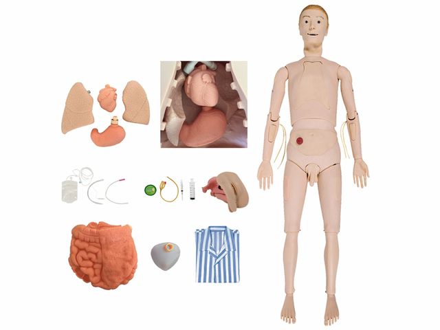Manequim Bissexual Adulto - TZJ-0502 - Anatomic Manequim Bissexual Adulto - TZJ-0502 - Anatomic