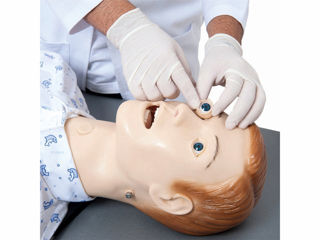 Manequim Bissexual Adulto - TZJ-0502 - Anatomic Manequim Bissexual Adulto - TZJ-0502 - Anatomic
