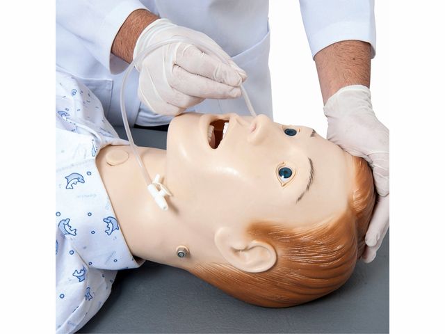 Manequim Bissexual Adulto - TZJ-0502 - Anatomic Manequim Bissexual Adulto - TZJ-0502 - Anatomic