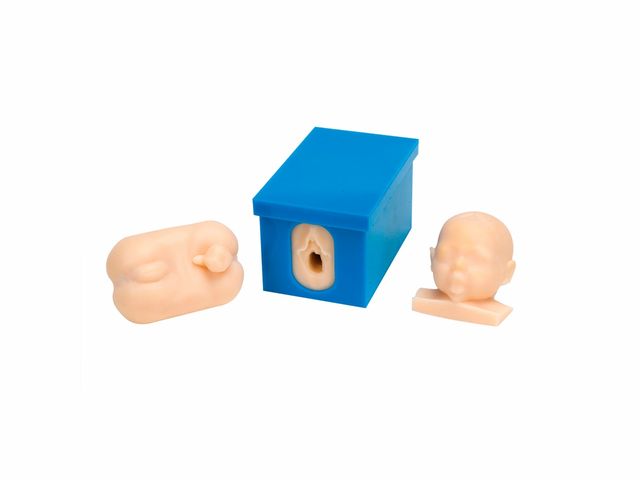 Kit para Monitoração - do Feto e do Trabalho de Parto - W43045 - 3B Scientific Kit para Monitoração - do Feto e do Trabalho de Parto - W43045 - 3B Scientific