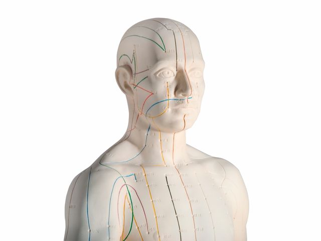 Modelo para Acupuntura Masculino com 71cm - N30 - 3B Scientific Modelo para Acupuntura Masculino com 71cm - N30 - 3B Scientific