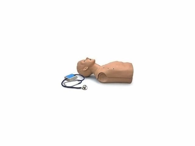 Simulador Meio Tronco Adulto - de Sons Cardíacos e Pulmonares - W45099 - 3B Scientific Simulador Meio Tronco Adulto - de Sons Cardíacos e Pulmonares - W45099 - 3B Scientific