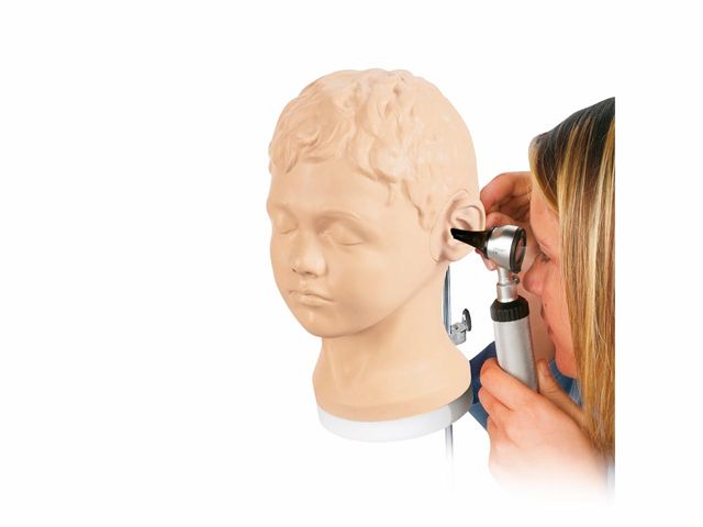Simulador de Diagnóstico e Processual Para Ouvidos - W44747 - 3B Scientific