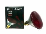 Lâmpada Infravermelho - Polamp
