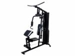 Estacão de Musculação – FT 9000 – Evolution